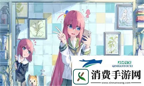 麻豆精产三产区区别和功效解析