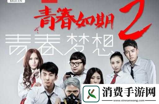找一个叫坤的电影