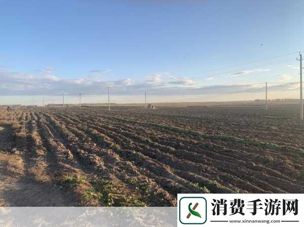 儿子耕种母亲的田地的寓意