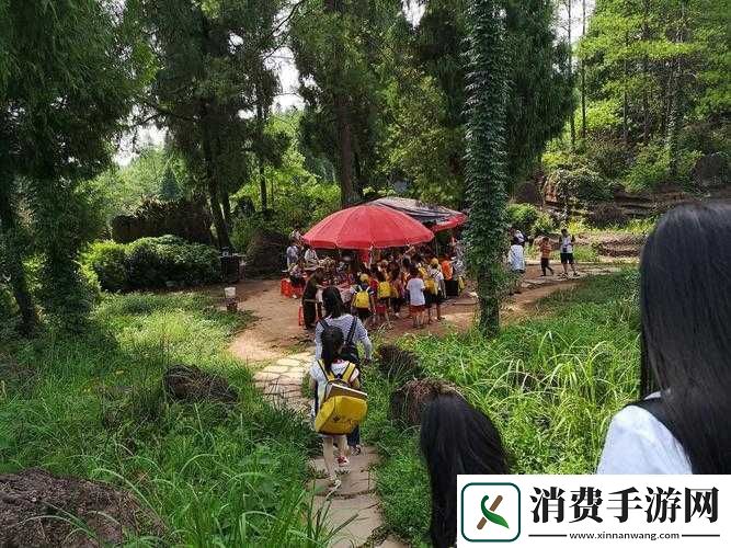 xzl-仙踪林视频欢迎您：探索神秘仙境的精彩之旅
