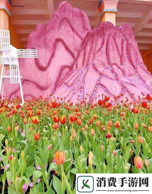 亚马逊女儿国满天星