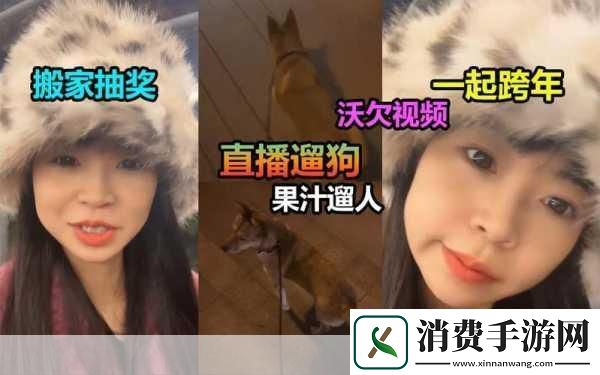 看B站直播间户外