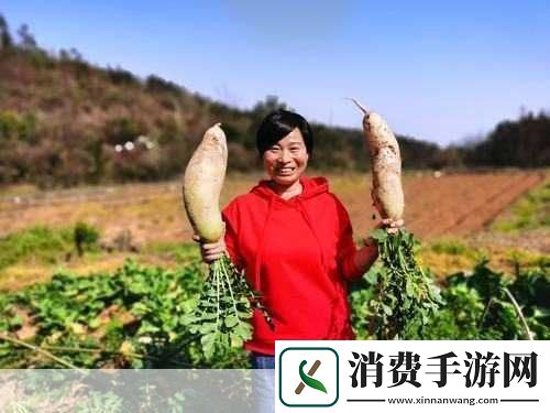 儿子耕种母亲的田地的寓意