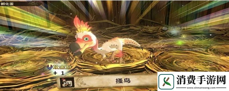 怪物猎人物语选蛋技巧