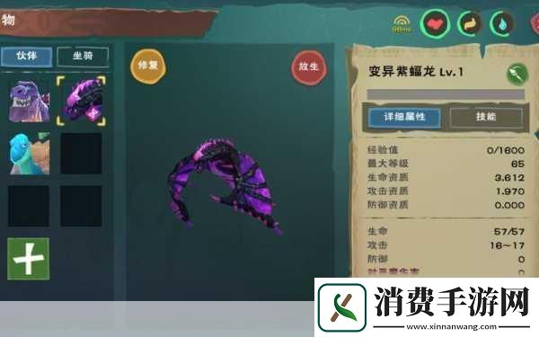 探秘创造与魔法蝠龙合成表图