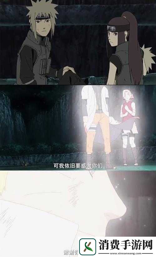 忍者之路深度探索