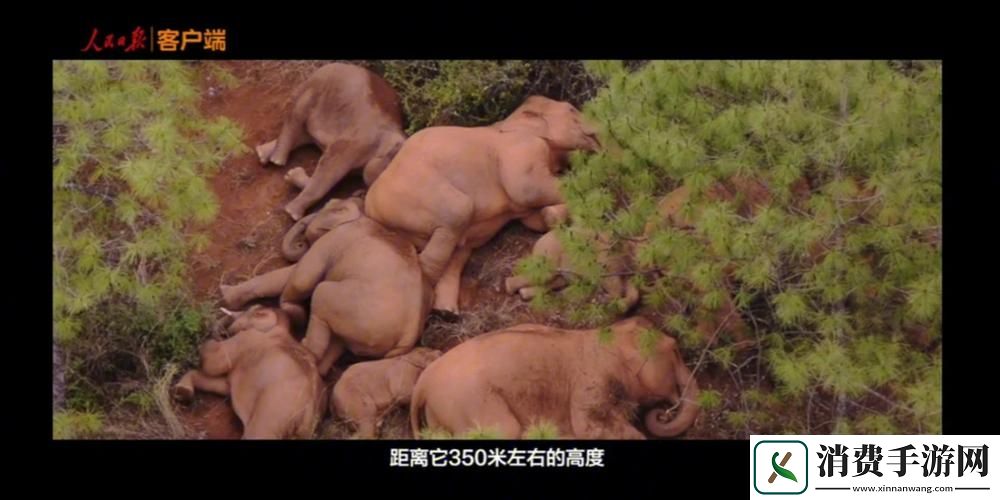 新探寻友情与归属