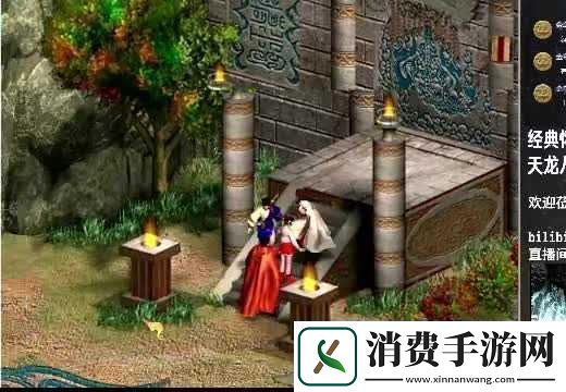 我在后宫那些年的晋升秘笈与心路历程