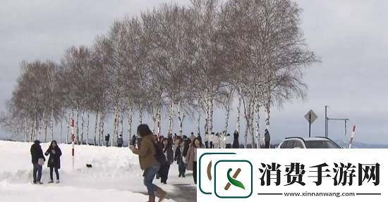 够狠！日本北海道阻无良游客未果