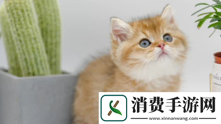 小它宠物社交平台下载