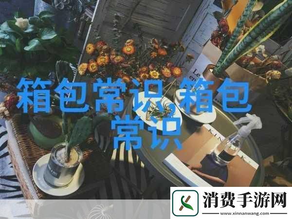 B站推广站