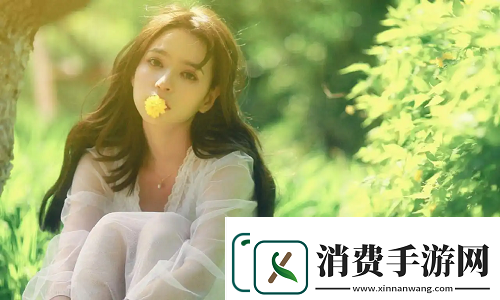 国内永久免费SaaS