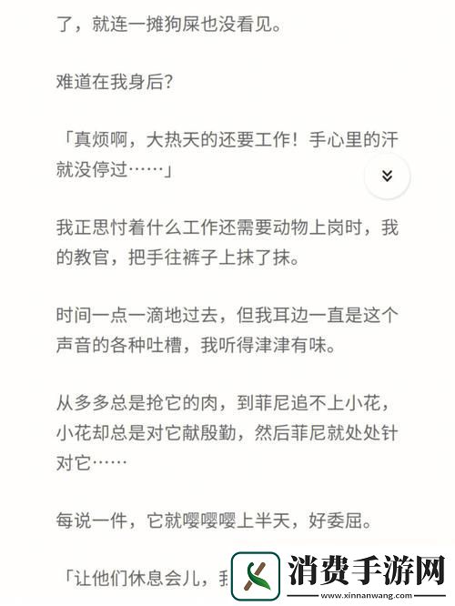 挑逗与禁忌的边界——“爽好爽别***男男教官”的秘闻