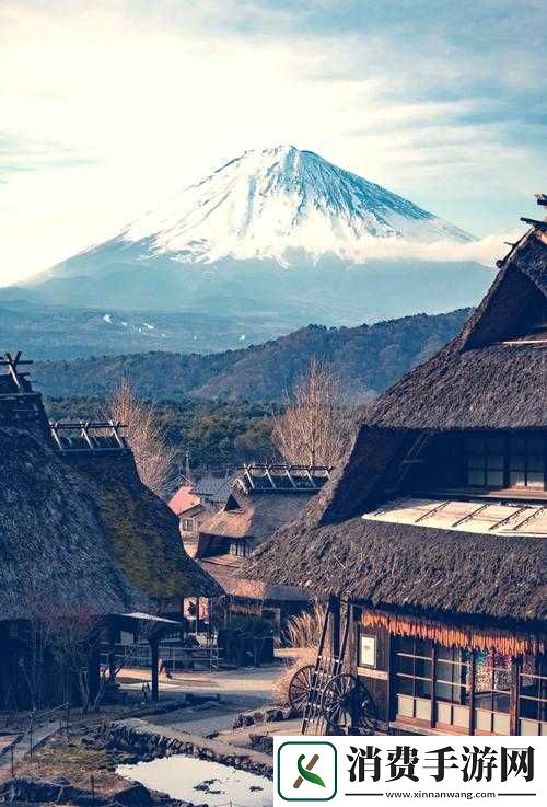 忘忧草在线观看日本