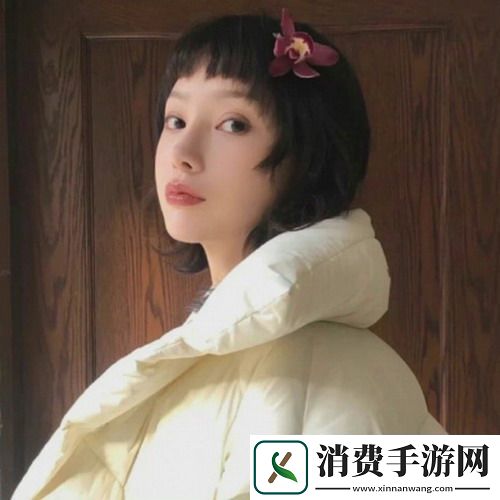 免费高清在线观看人数在哪