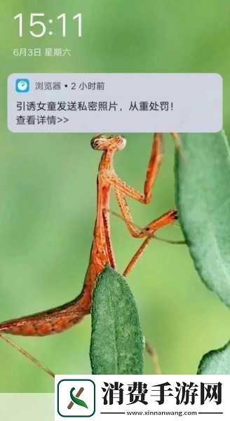 私密浏览器看片大全免费直播主播专属谁说的