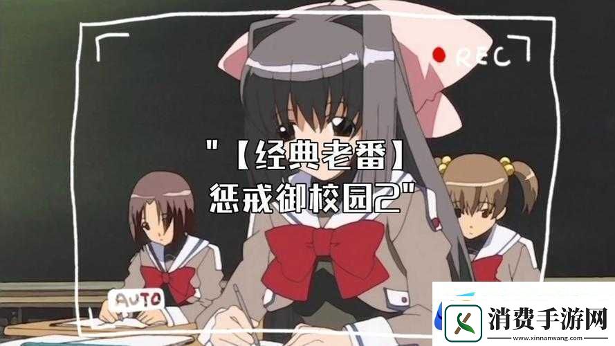 惩戒