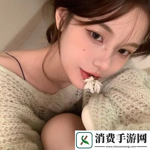 国内永久免费saas