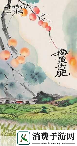 雨打芭蕉电影免费观看高清