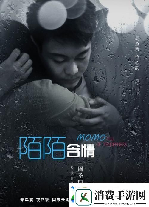 陌陌影视在线观看高清完整版影片网友