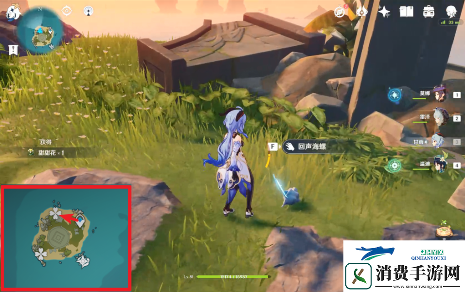 原神回声海螺位置大全