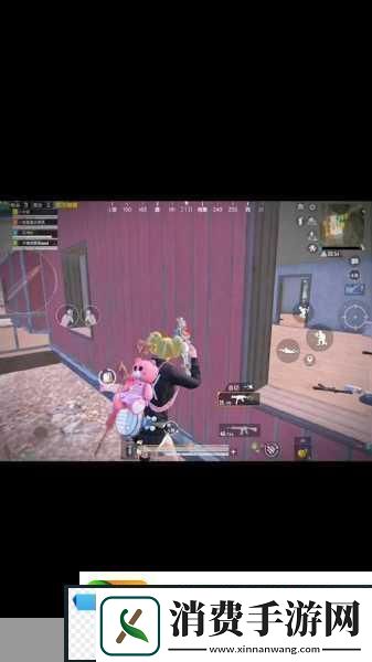 和平精英直播盛宴