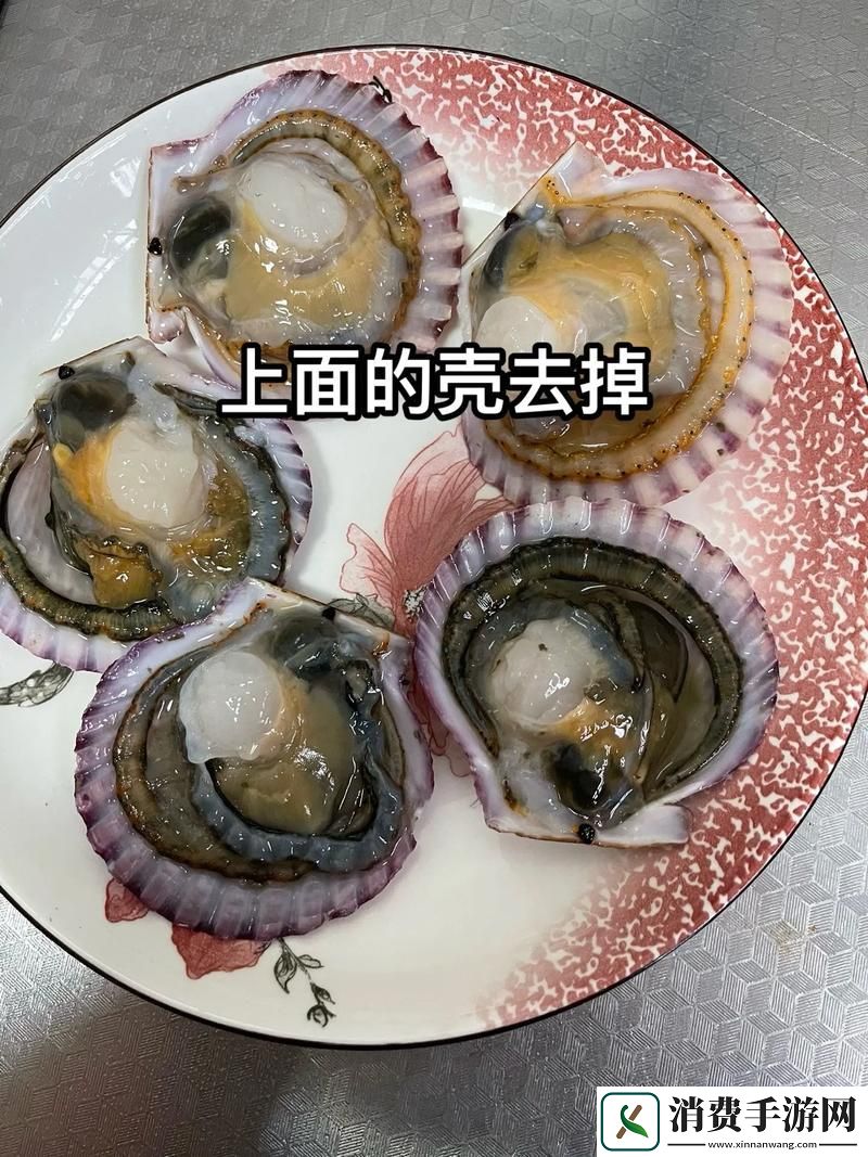 小东西你的扇贝都开张了