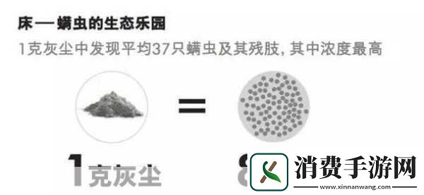 绝区零今宵无人入睡解锁夜的终极挑战