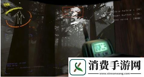 致命公司代码有哪些