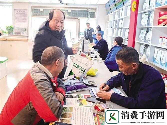 无人区码二码乱码区别在哪之详细解读与深入分析