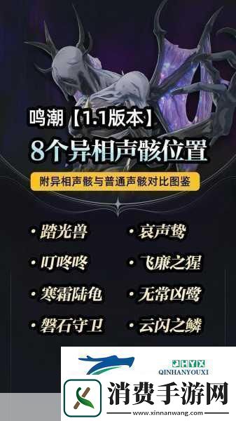 鸣潮踏光兽声骸图鉴解锁异界奇幻之旅的钥匙