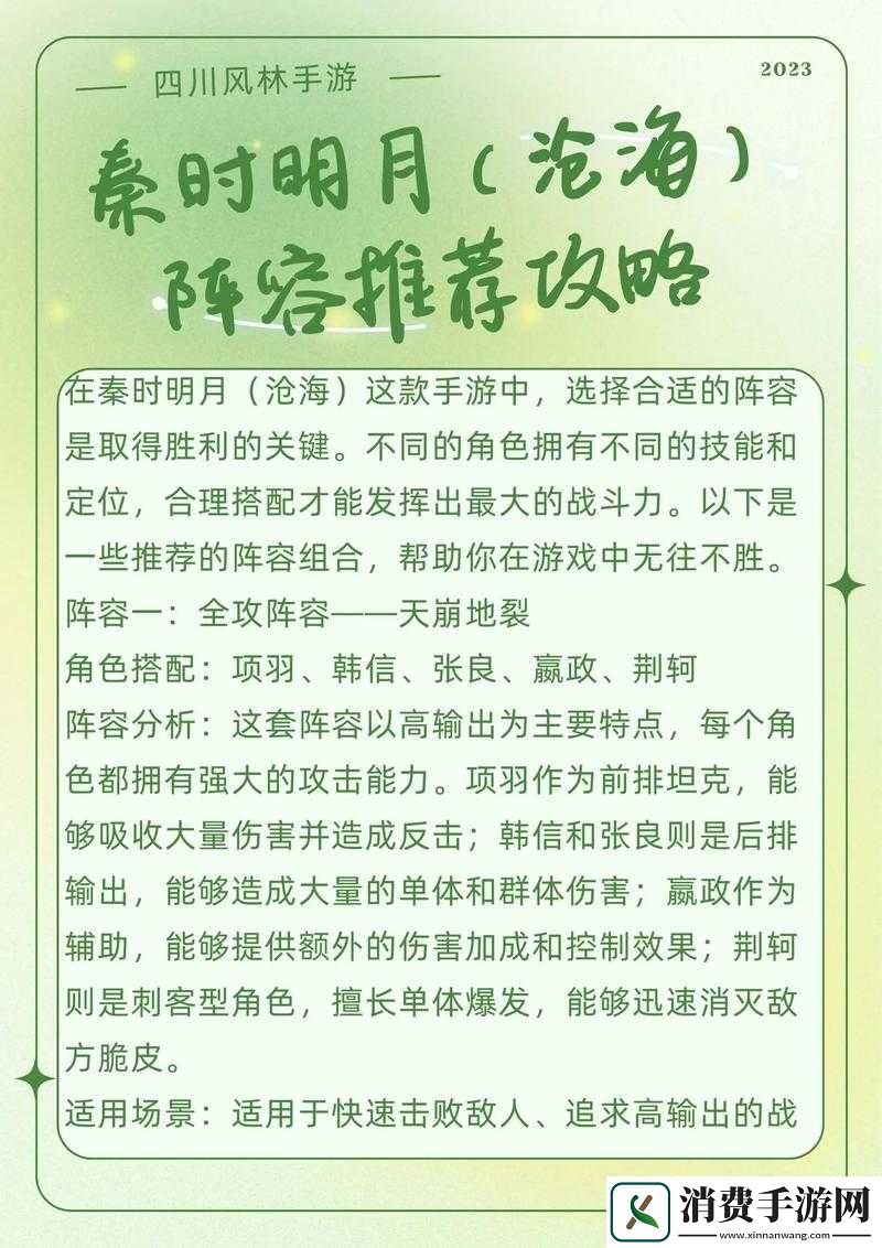 秦时明月游戏中阵容选择与角色分工的深度个人心得及策略分享