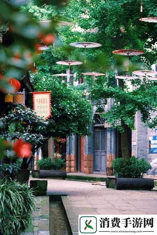 中国夫妇家乡的别样生活与故事