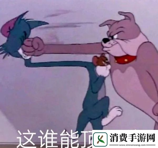 笋都被你夺完了梗意思、含义、出处介绍