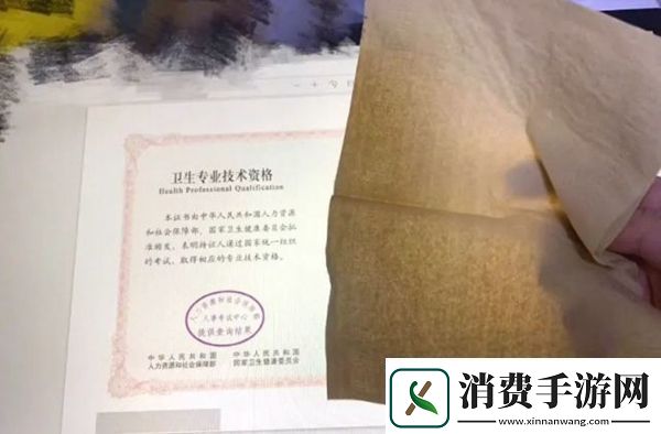 笋都被你夺完了梗意思、含义、出处介绍