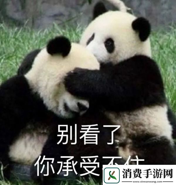 笋都被你夺完了梗意思、含义、出处介绍