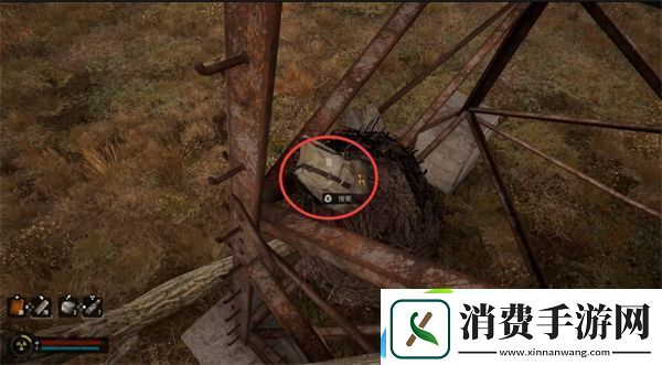 潜行者2干杯任务流程