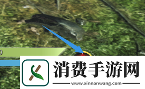 elyon搬砖效益怎么样稀有材料获取途径