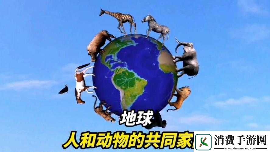 美国人与动物
