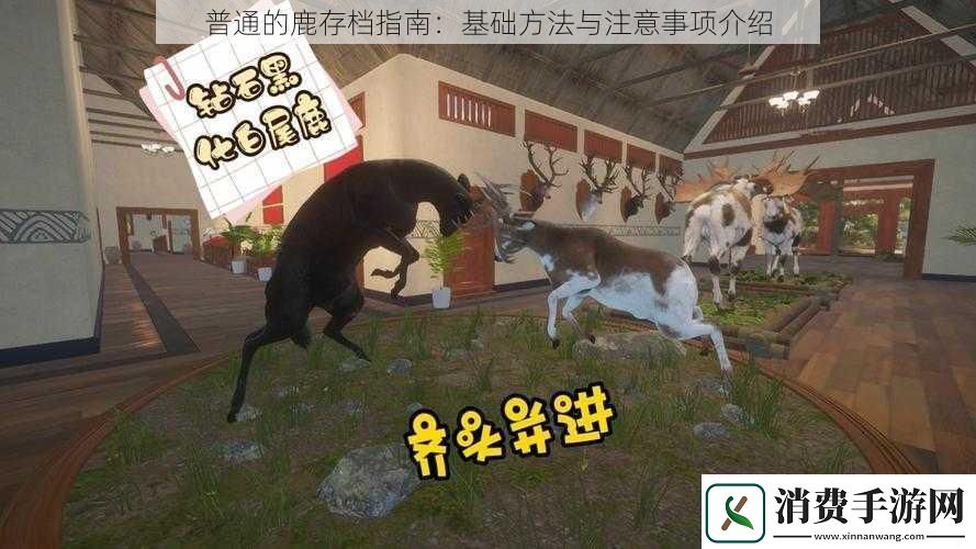 普通的鹿存档指南