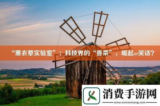 “薰衣草实验室”