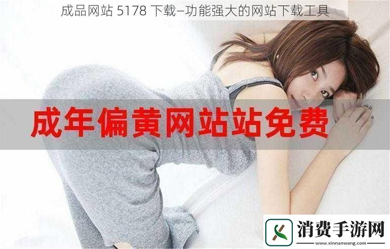 成品站5178下载—功能强大的站下载工具