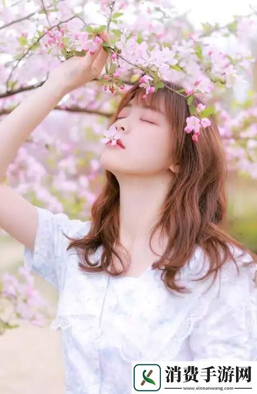 国产做受与进口竹菊大对比