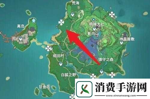 原神海草全位置刷新时间及高效采集路线与策略攻略