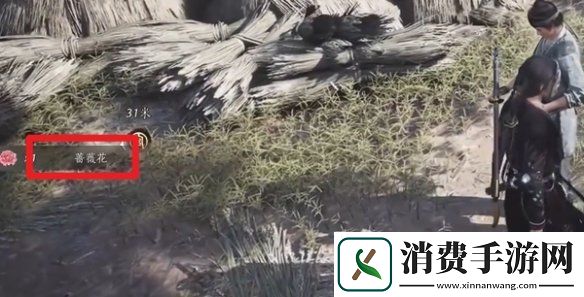 燕云十六声蔷薇风信任务怎么过