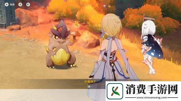 原神纳塔切玛莉的遮荫