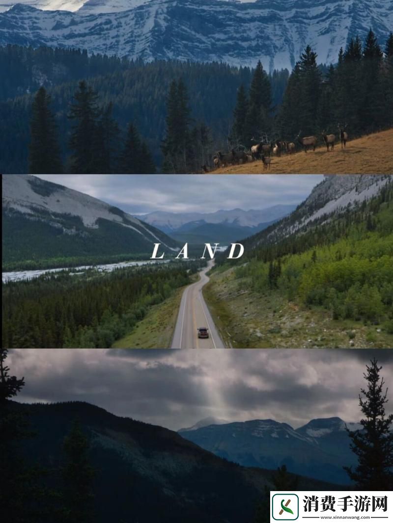 探索“大地资源二中文在线影视免费观看”带来的视听盛宴