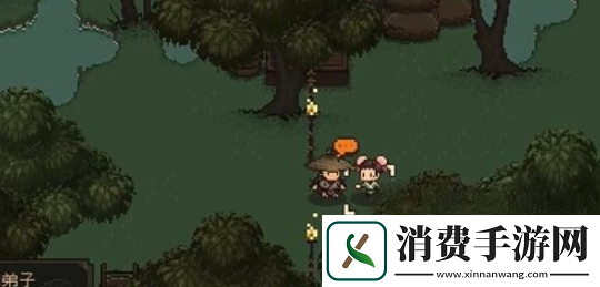 大江湖之苍龙与白鸟怎么洗点