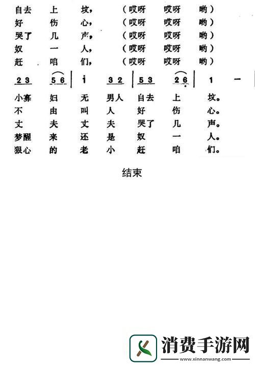 小寡妇汆白肉经典十首歌曲