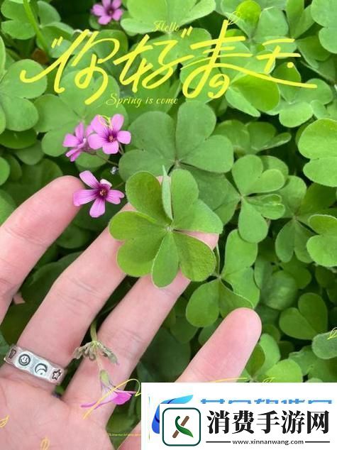 成品人精品人的区别四叶草